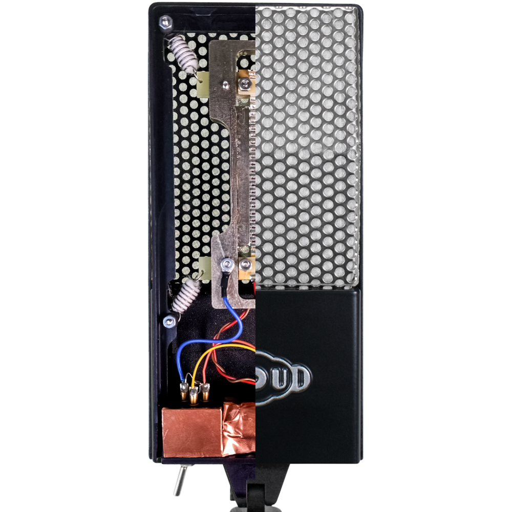 Cloud 44-A Ribbon Mic interior view