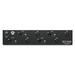 Black Lion Audio B173  rear view