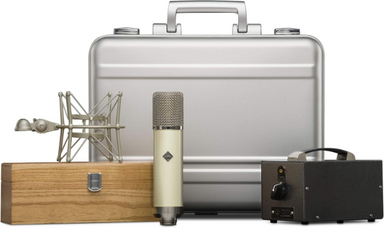 Golden Age Project GA-251 MKII  case contents view