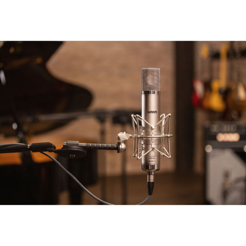 WACX12 silver in studio view